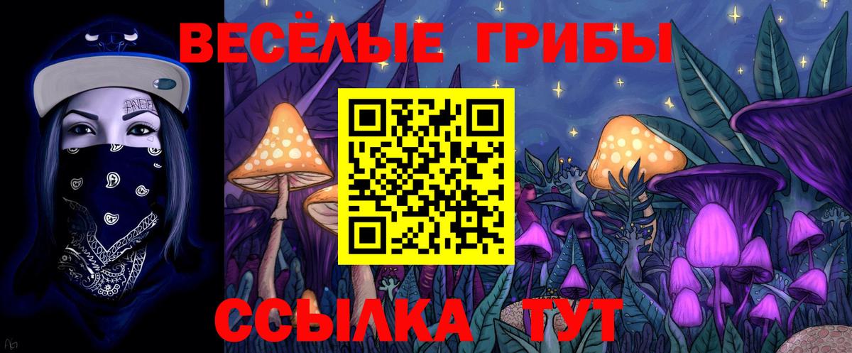 Псилоцибиновые грибы MAGIC MUSHROOMS  Пенза 